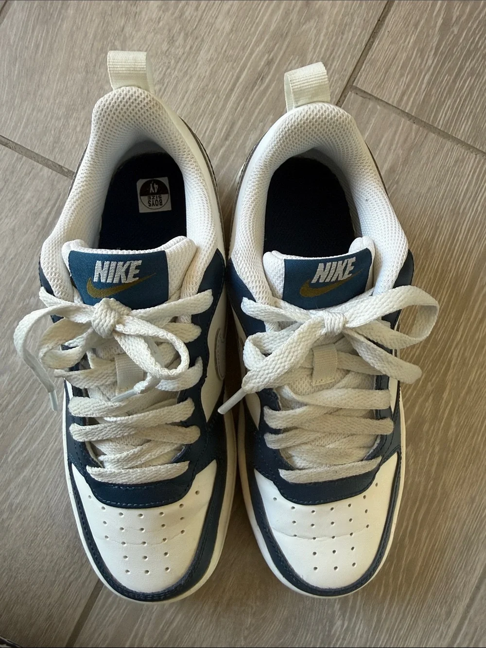 Youth Nike Court Borough Low (Big Kids 4)